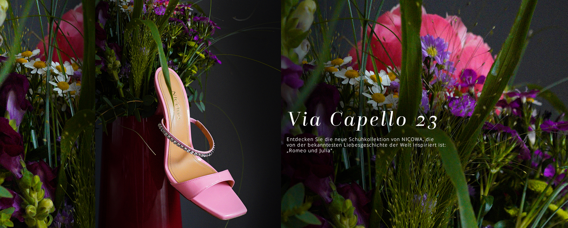 Neueste Schuhkollektion von Nicowa